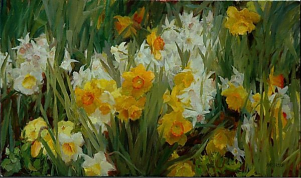 Kathy Anderson ирисы