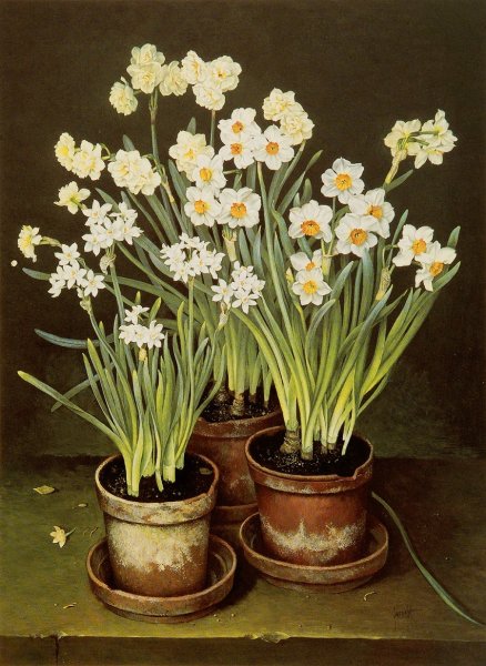 Весенние цветы Jose Escofet