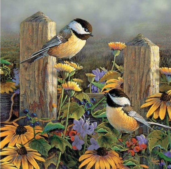 Художник Тимм Сэм (Timm Sam)