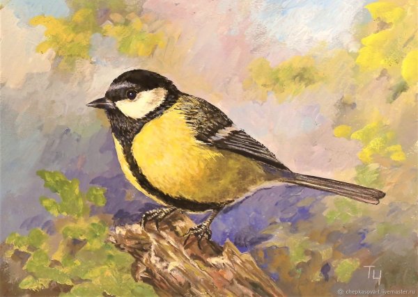 Синица гуашью