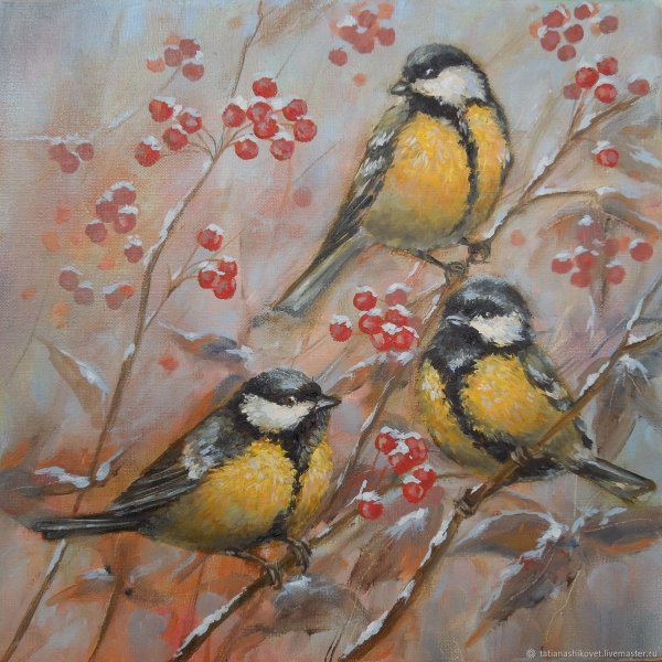 Синица лазоревка картины