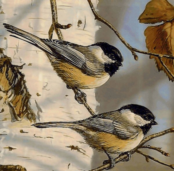 Художник Даррел Буш синицы