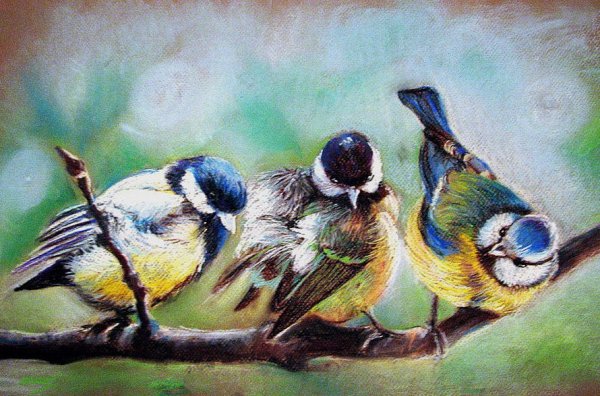 Синичка масляной пастелью