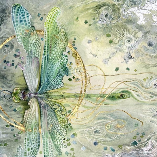 Stephanie Law картины, насекомые