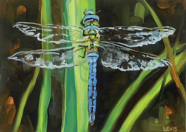 Стрекоза маслом