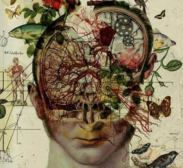 Хуан Гатти анатомические коллажи