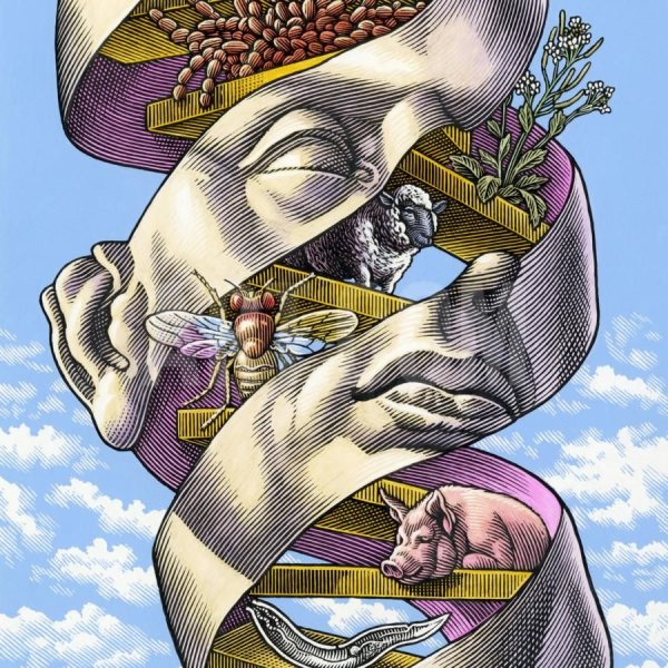 Генетика арты