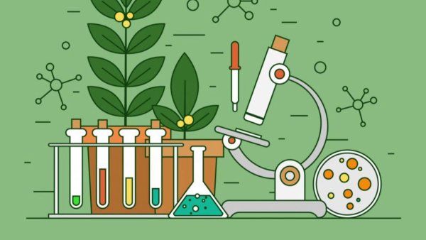 Биологические иллюстрации