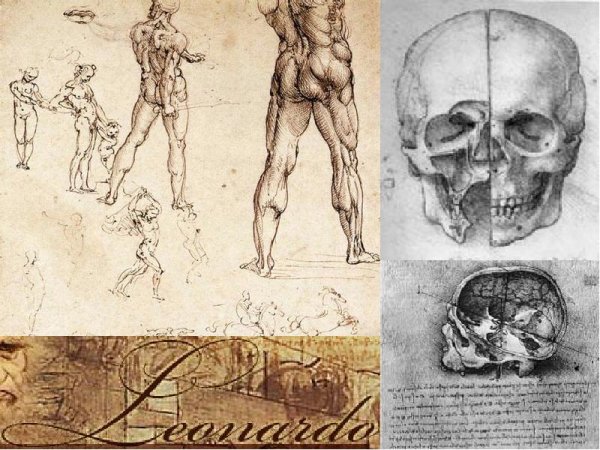 Эпоха Возрождения биология