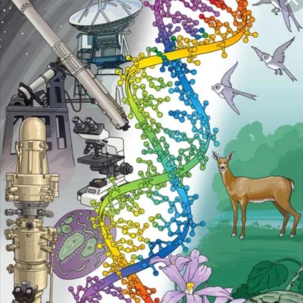 Научная иллюстрация