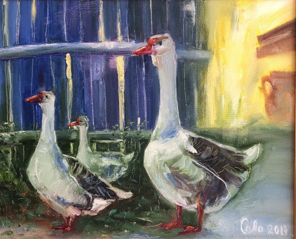 Гусь деревенский