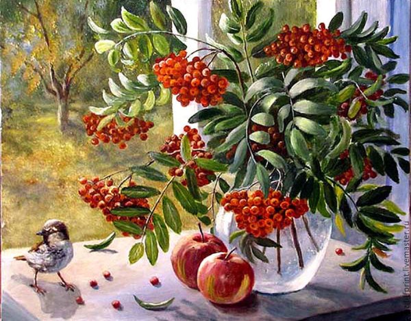 Андрияки рябина