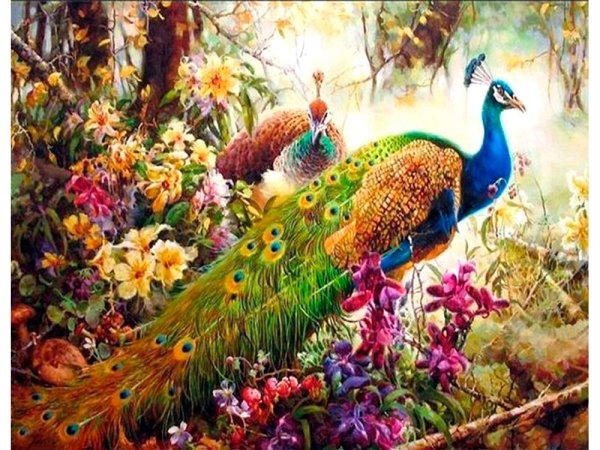 Мозаика Павлины алмазная Гранни