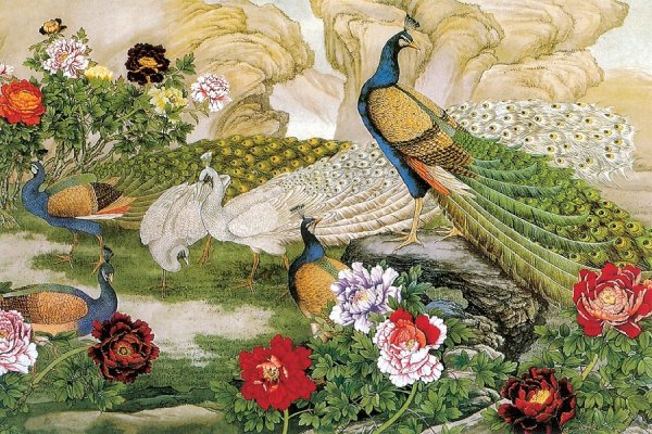 Павлин алмазная вышивка диамондс