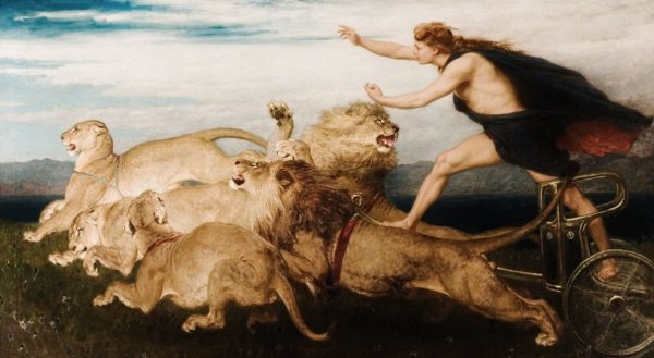 Брайтон Ривьер Даниил