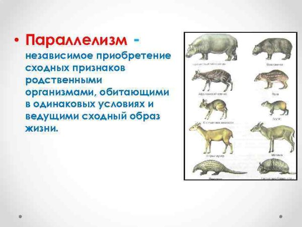 Параллелизм примеры