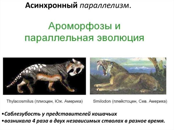 Параллелизм презентация