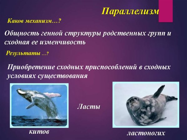 Параллелизм в литературе примеры