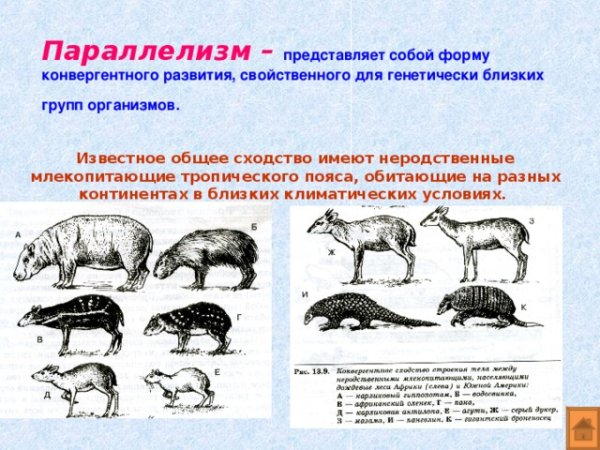 Образный параллелизм