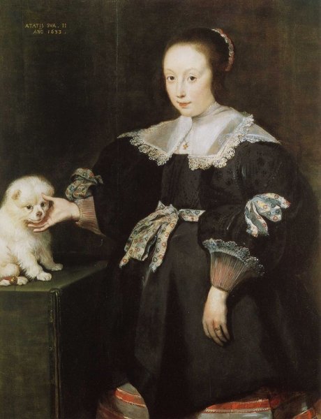 Мартен Ван Хемскерк