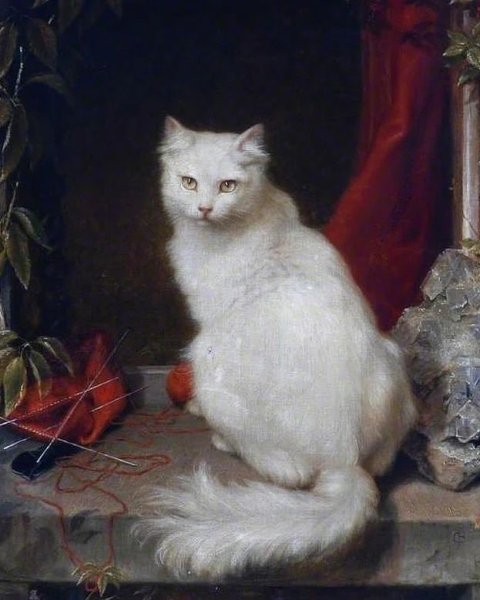 Фрагонар ангорский кот