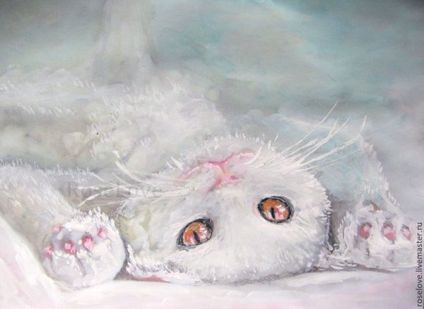 Белая кошка акварелью