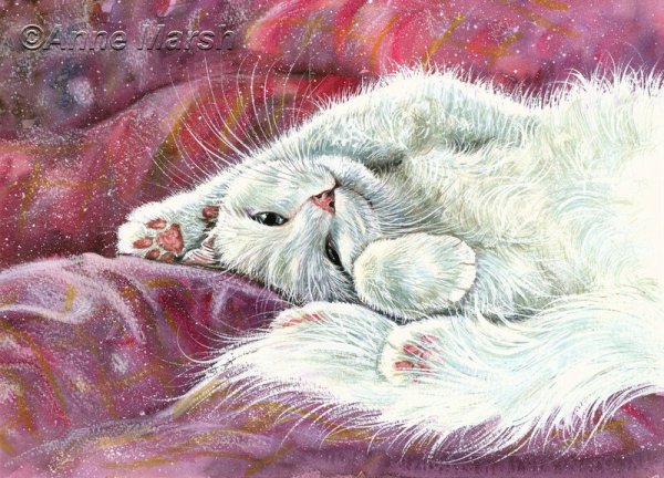 Белая кошка в живописи