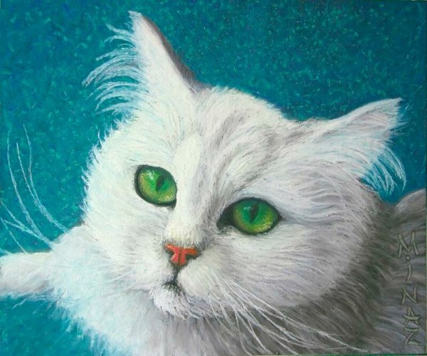 Белая кошка с зелеными глазами арт