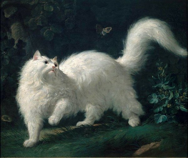 Художник Жан-Жак Башелье