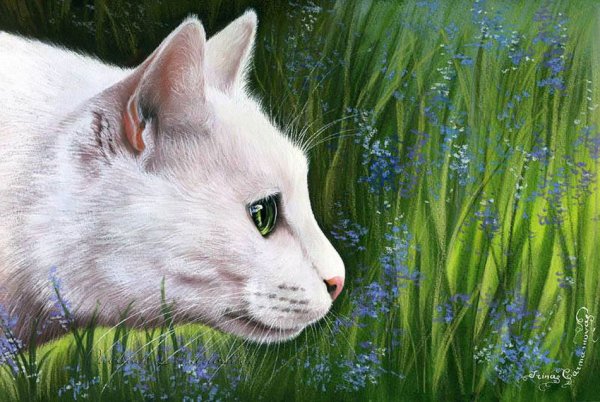 Коты художницы Ирины Гармашовой