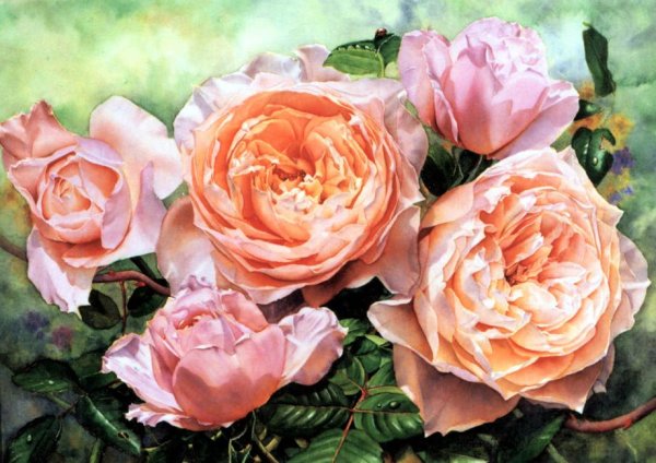 Художник Susan Harrison-Tustain