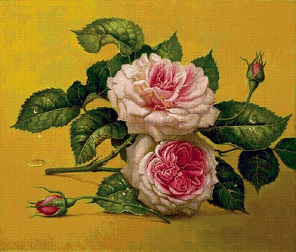Французские розы картина