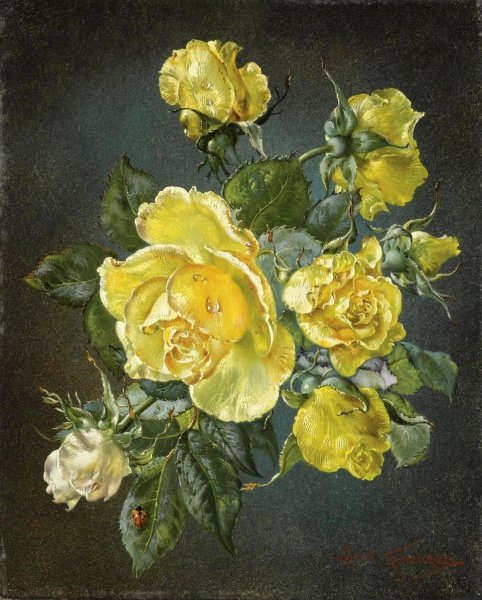 Сесил Кеннеди