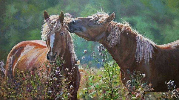 Линдси Биттнер Грэм лошади