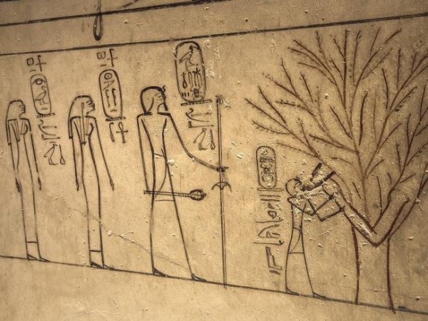 Египетские фрески фаседжи