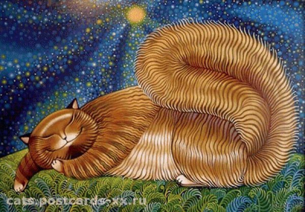 Художница Ася Белова