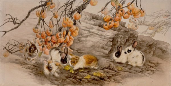 Ли Чжэ виноград