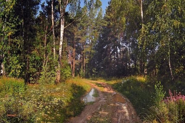 Валерий Ниминущий картины