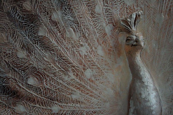 Гога Тандашвили Павлины