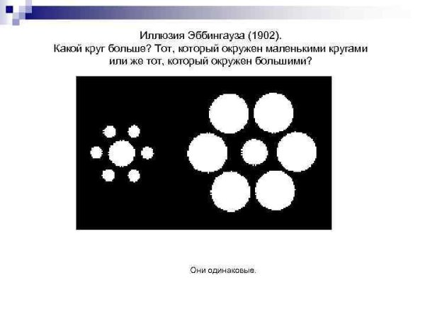Иллюзия явление иррадиации в одежде