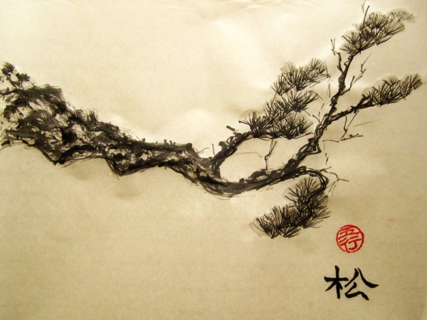 Китайская живопись гохуа ветка сосны
