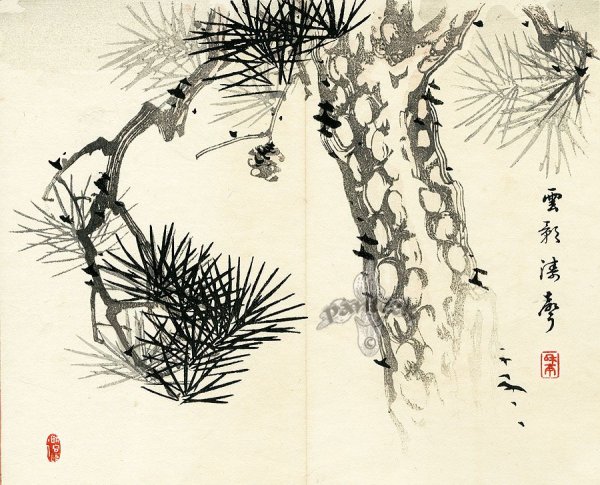 Японская гравюра сосна