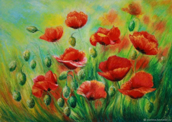 Маки пастелью