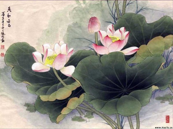 Лотос китайская живопись Сяомин