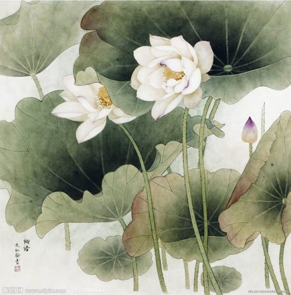 Лотос акварель Ботаническая живопись