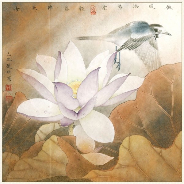 Гунби Лотос