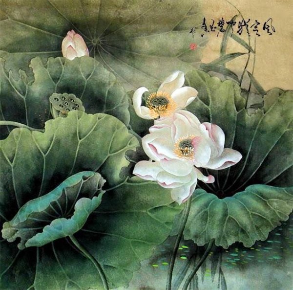 Лотос акварель Китая