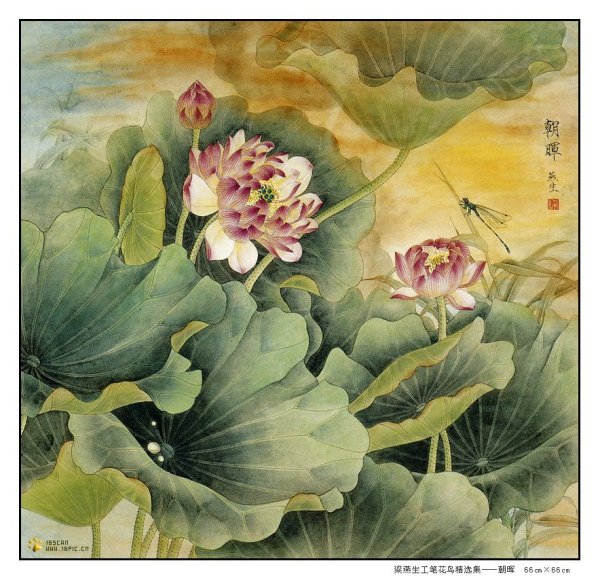 Гунби лотосовый пруд