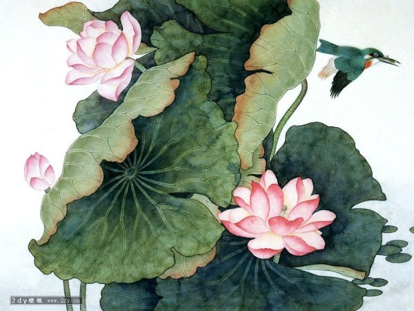 Лотос цветок китайская живопись