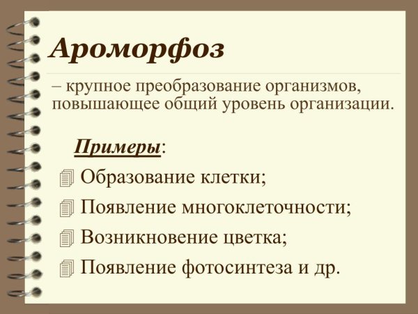 Понятие ароморфоз